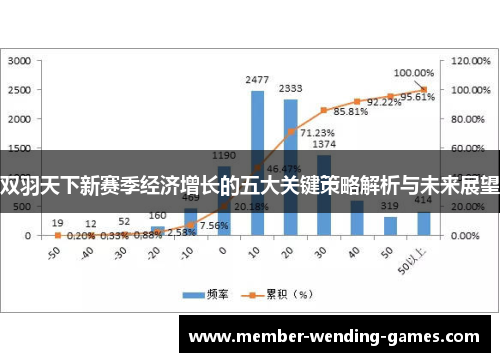 双羽天下新赛季经济增长的五大关键策略解析与未来展望