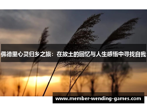 佩德里心灵归乡之旅：在故土的回忆与人生感悟中寻找自我