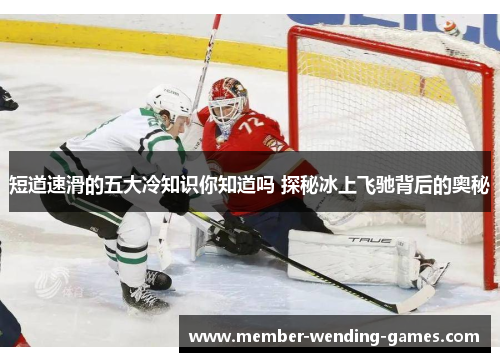 短道速滑的五大冷知识你知道吗 探秘冰上飞驰背后的奥秘