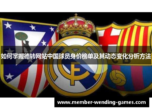如何掌握德转网站中国球员身价榜单及其动态变化分析方法