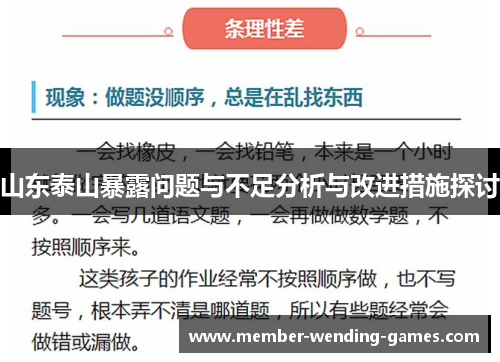 山东泰山暴露问题与不足分析与改进措施探讨