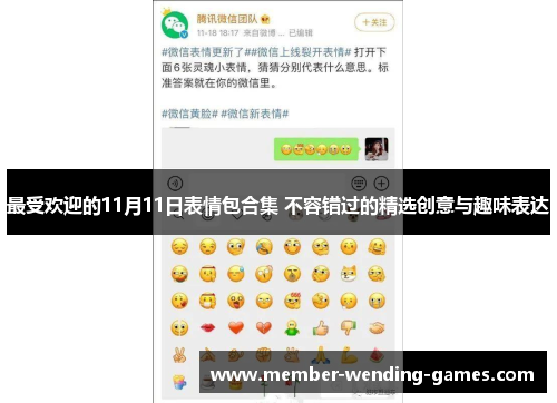 最受欢迎的11月11日表情包合集 不容错过的精选创意与趣味表达