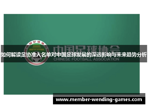 如何解读足协准入名单对中国足球发展的深远影响与未来趋势分析