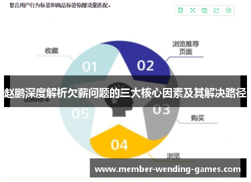 赵鹏深度解析欠薪问题的三大核心因素及其解决路径