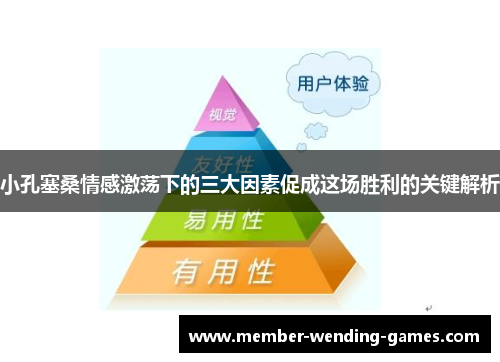 小孔塞桑情感激荡下的三大因素促成这场胜利的关键解析